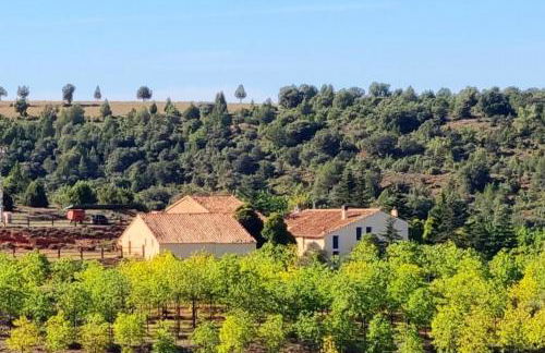 Masía Finca La Sazadilla con Piscina - Foto 5