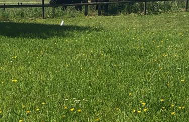 5 bedroom Barn, Ludlow - Foto 39