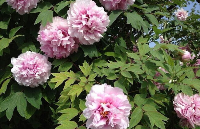 Agriturismo Al Vecchio Portico - Photo 58