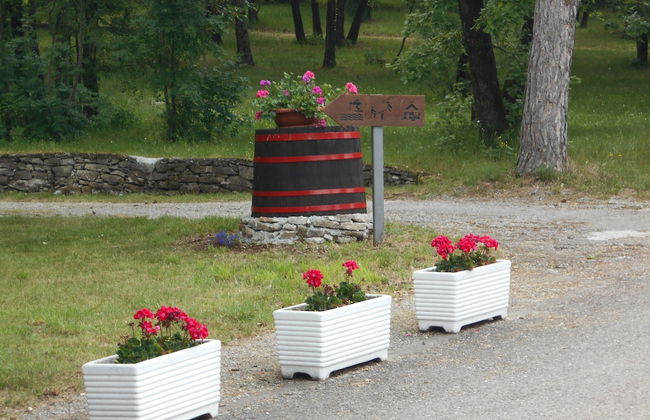 Camping Agrituristico Carso - Foto 18