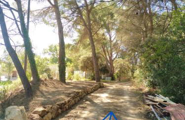 Sous un chêne bicentenaire - Foto 32