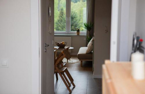 Mieszkanie Węgierska Górka - Foto 25