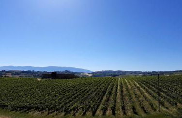 APPARTAMENTI DOLCETURISMO FONTECAIME...RELAX... - Foto 22