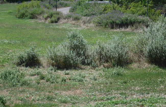 Toms House 0 Quiet Family House Between Paleokastritsa n Dassia n Ipsos! - Foto 28