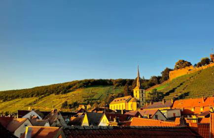 Froschgass Apartments - Foto 15