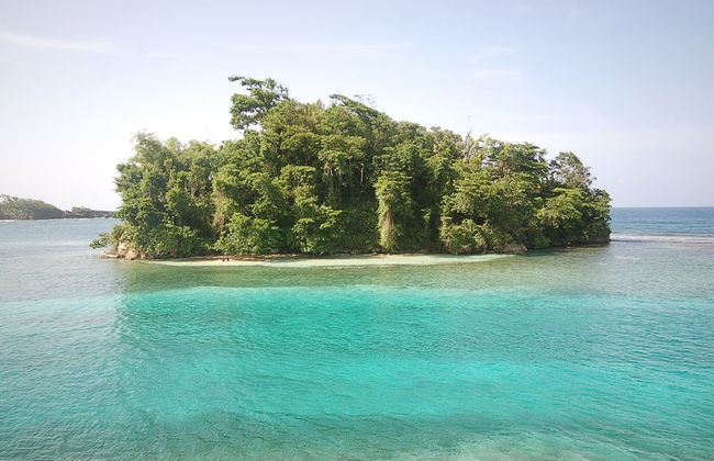 San Bar 6BR by Jamaican Treasures - Foto 48