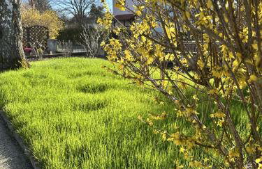 Grand appartement au cœur de la région alsacienne - Photo 8