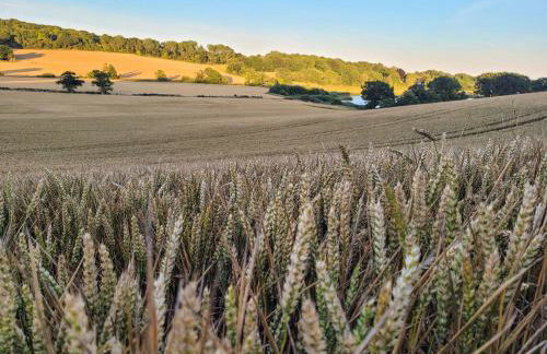 Lakeview Lodge- Uk40692 - Foto 24