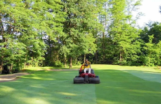 Agriturismo La Margherita - Golf Girasoli - Photo 37