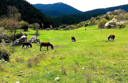 Elati Hills - Photo 61