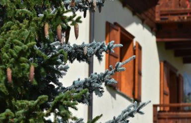 Chalet Barbara - Foto 9