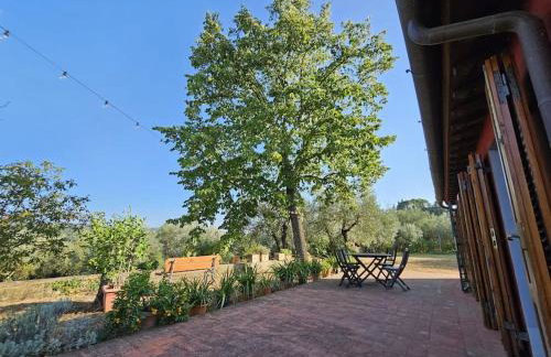 Casina Rossa - Foto 13