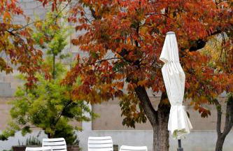 El Campillo, casa de campo cerca de la playa - Foto 46