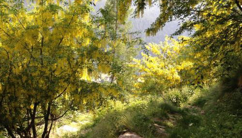 Chalet del frassino - Foto 4