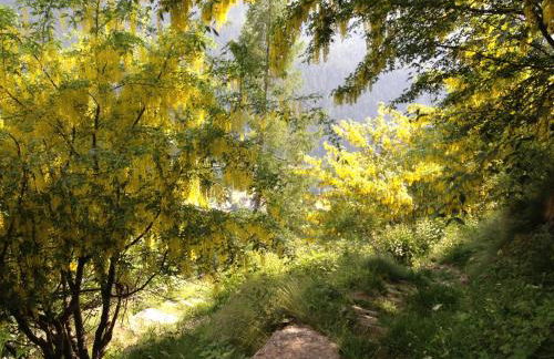 Chalet del frassino - Foto 4