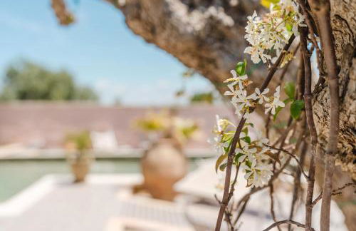 Le Giarre - Villa Con Piscina - Foto 28