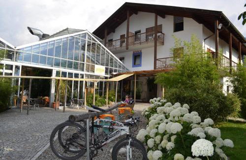 Residence Gold Rain - Foto 9