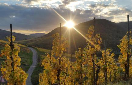 Haus Madle - Foto 26