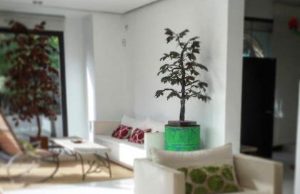 la casa de las pergolas - Foto 30