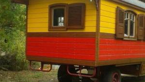 Zigappo Directeur - Photo 3