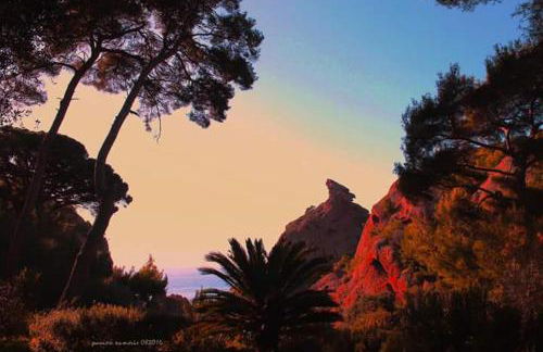 le cytharis - Foto 52