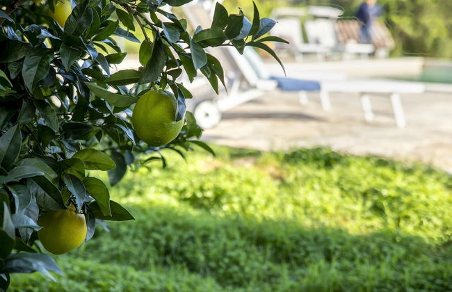 Sardinia Re - Villa Gialla - Foto 10