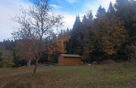 Wood Cabins by the River - for Nature Lovers - Photo 62