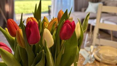 Ferienwohnung Nordig - Foto 2