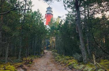 Spokojny Zaułek - Foto 28