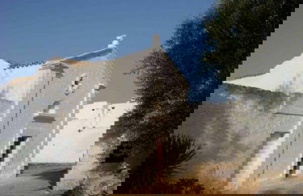 Dégustation d'huile d'olive - Photo 6