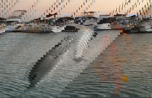 Santalina On Hervey Bay - Foto 44