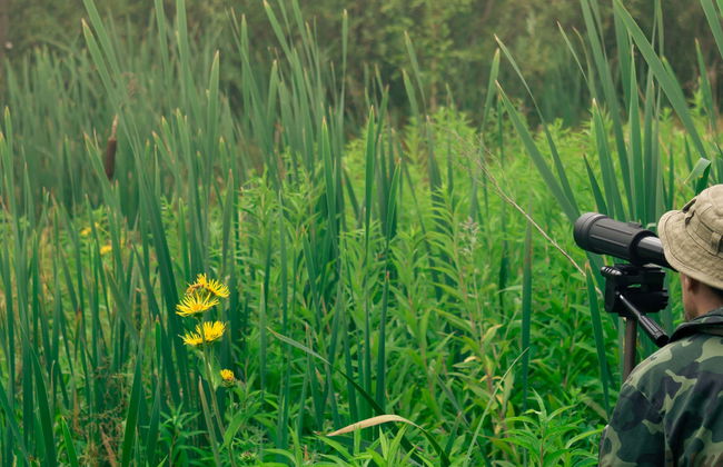 Avistamiento de aves en la laguna Oca - Photo 1