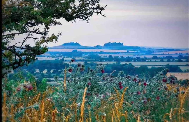 Cottage in Area of Outstanding Natural Beauty - Foto 28