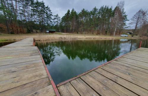 LEŚNY KĄCIK - Foto 50