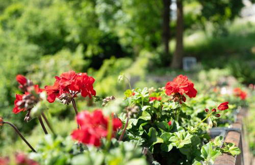 Haus Schwarzwald Königin - Foto 36