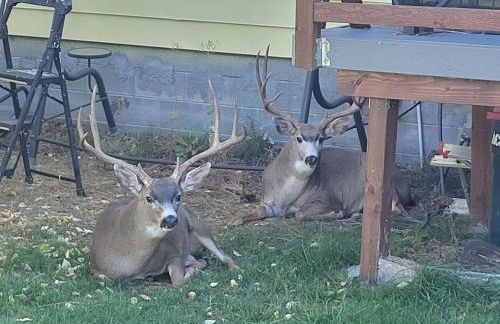 Historic HM, Mountain Views, Hot Tub, Steam Room - Foto 36