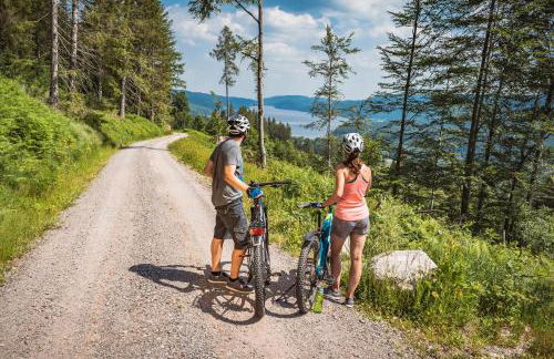 Ferienhaus Wendelhof - Foto 12