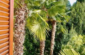 Palmarea House - Foto 21