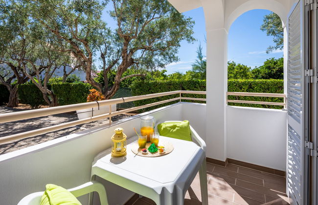 Flor da Laranja - Foto 59