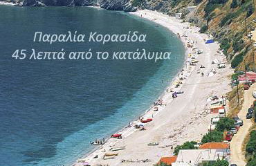 Ανέμη - Foto 32