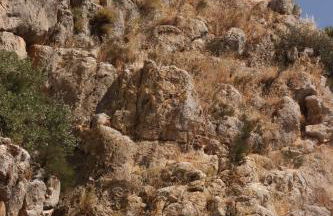 Vista Terraza Illora - Foto 9