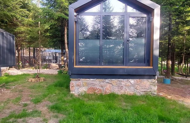 Tumba Sisli Vadi - Foto 60