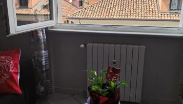 Nido delle meraviglie - Foto 3