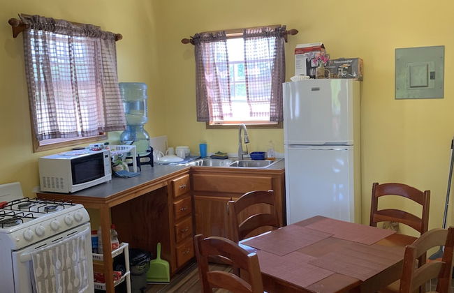 The Lily Pad - Photo 6