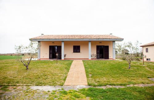 Podere Giovanni Olivo - Foto 13