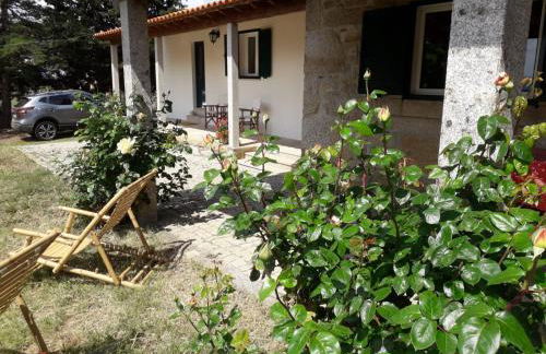 Casa da Farmácia - Foto 5