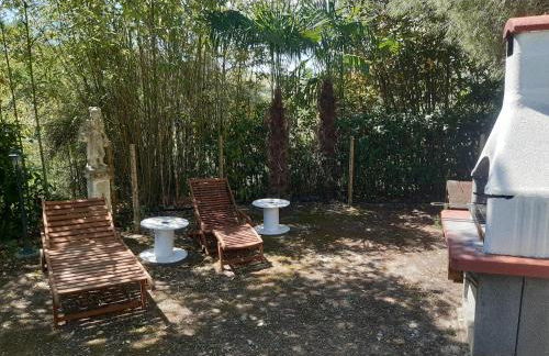 Boschetto sul mare - Foto 7