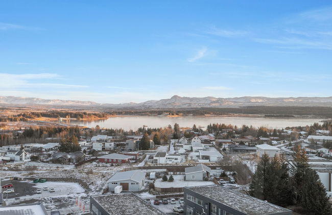 Icelandic Apartments by Heimaleiga - Foto 41