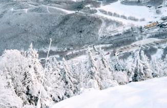 Sunny & Open 2 Bdrm - Close to Stowe Village, Shopping, Mtn Views! - Foto 8