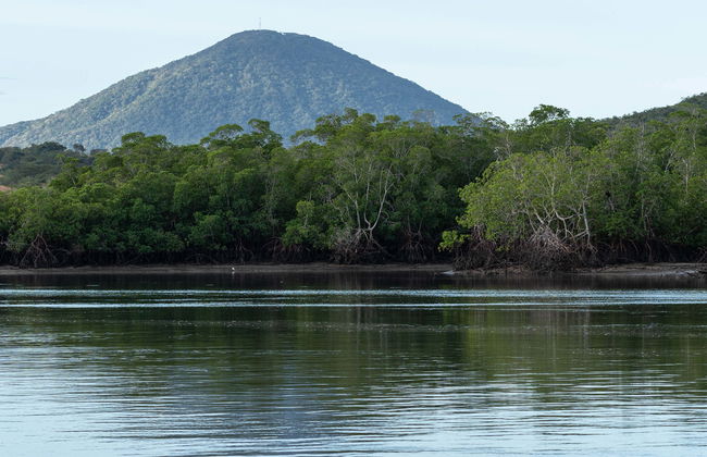 Excursión al volcán de Conchagua - Foto 1